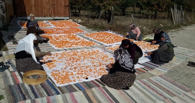 Dağ ilçelerinde tarhana hazırlıkları başladı
