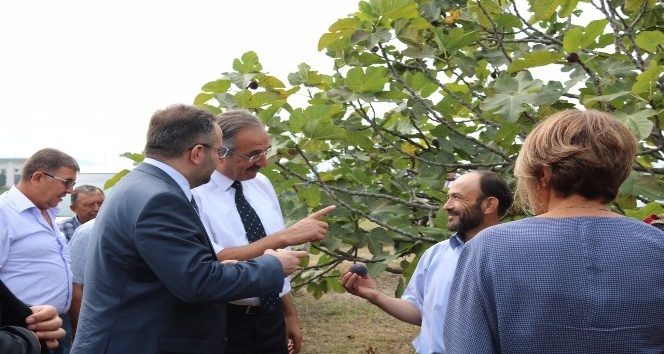Tarım A.Ş. sayesinde çiftçi kazanacak