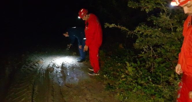 Ormanda kaybolmuştu, şehirde görüldü