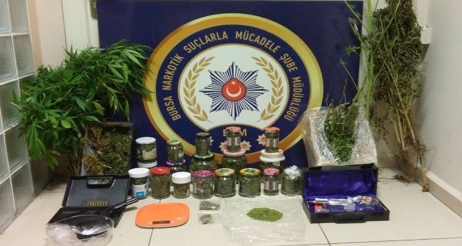 Kenevir ektikleri bahçeye "Gelincik bahçesi" levhası diktiler