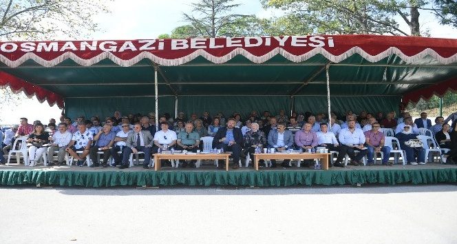 Bursa'nın en iyi üzümleri belli oldu