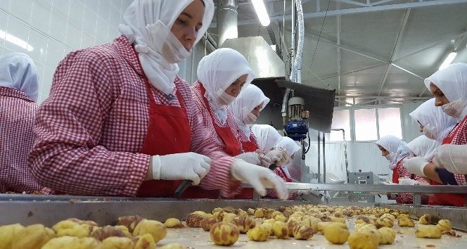 Avrupalıların ağzı Bursa kestanesiyle tatlanacak