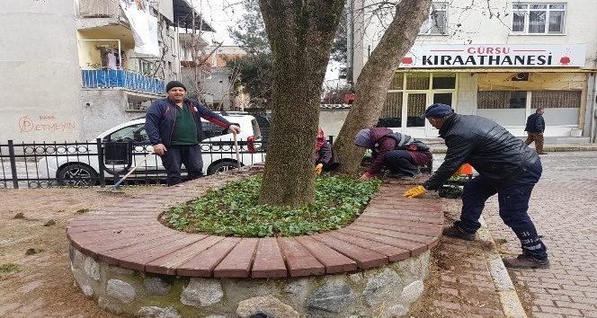 Gürsu'nun parkları ve caddeleri çiçek açıyor