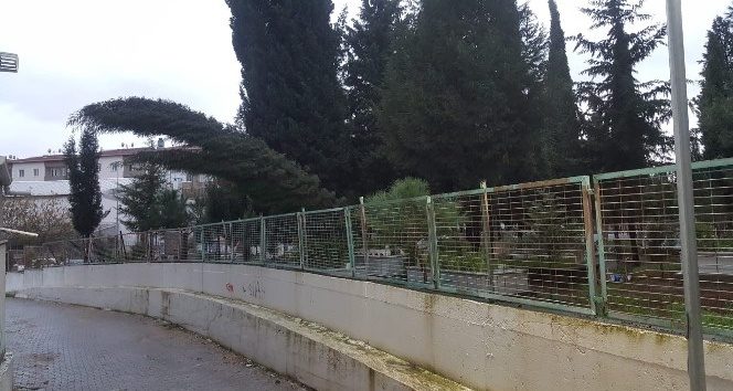 Karacabey'de fırtına ağaçları devirdi