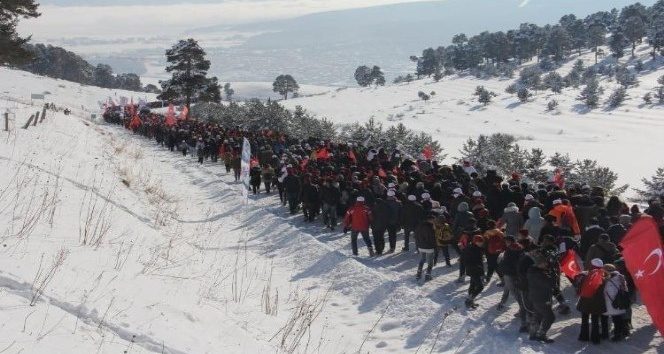 Ateş Karıncaları Sarıkamış'ta