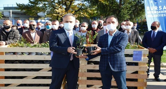 Modern tarımın başkenti Bursa