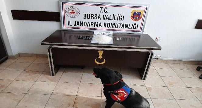 Zehir tacirleri 'Takip'e takıldı