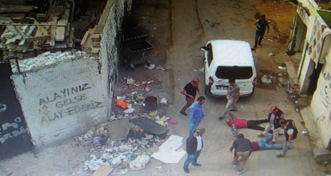 Bebek bezinden bonzai çıktı