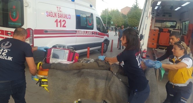 Ağacın altında kalan yaşlı adam öldü