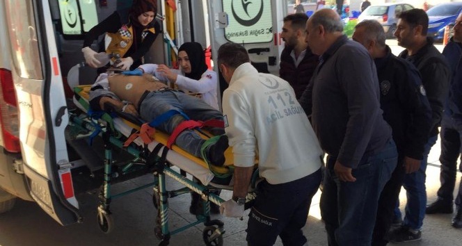 Güvercin sevdası genci canından etti