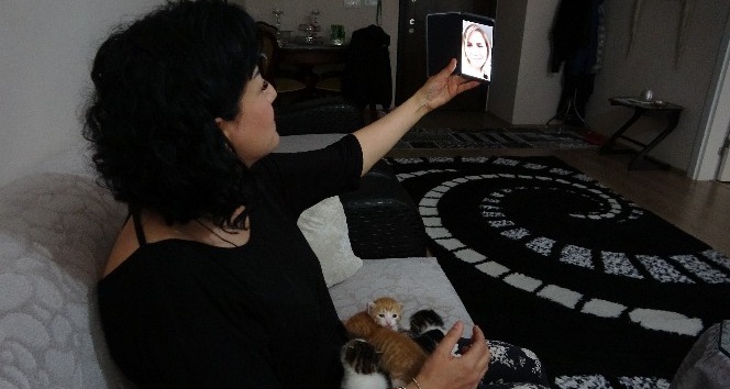 (Özel) Telefonla veterinerden yardım alarak sokak kedisi ve 5 yavrusunun hayatını kurtardı